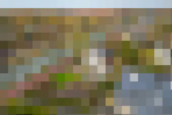 Zandweg 172 De Meern thumbnail 4