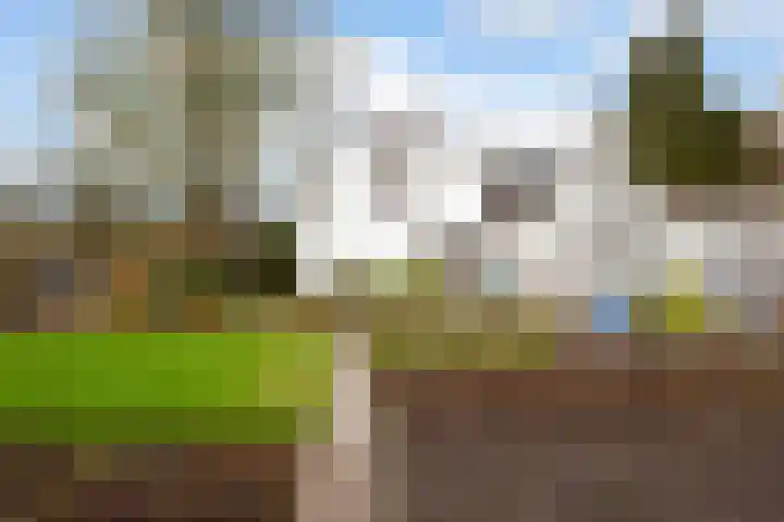 Zandweg 172 De Meern thumbnail 5