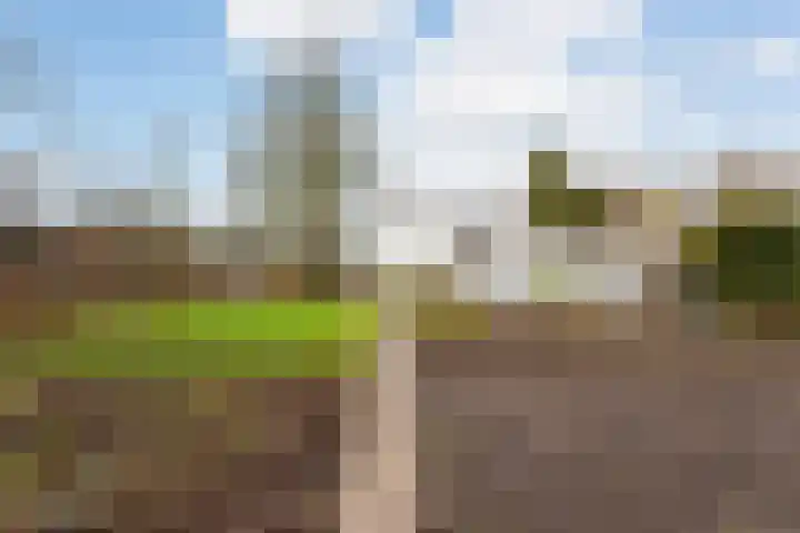 Zandweg 172 De Meern thumbnail 6