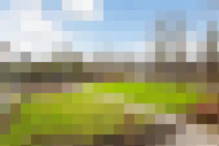 Zandweg 172 De Meern thumbnail 7