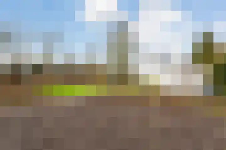 Zandweg 172 De Meern thumbnail 8