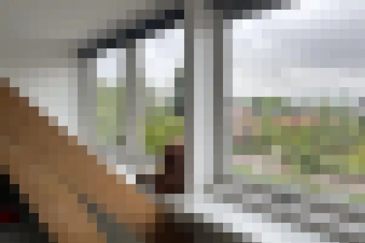 Zandweg 172 Wijk bij Duurstede thumbnail 34