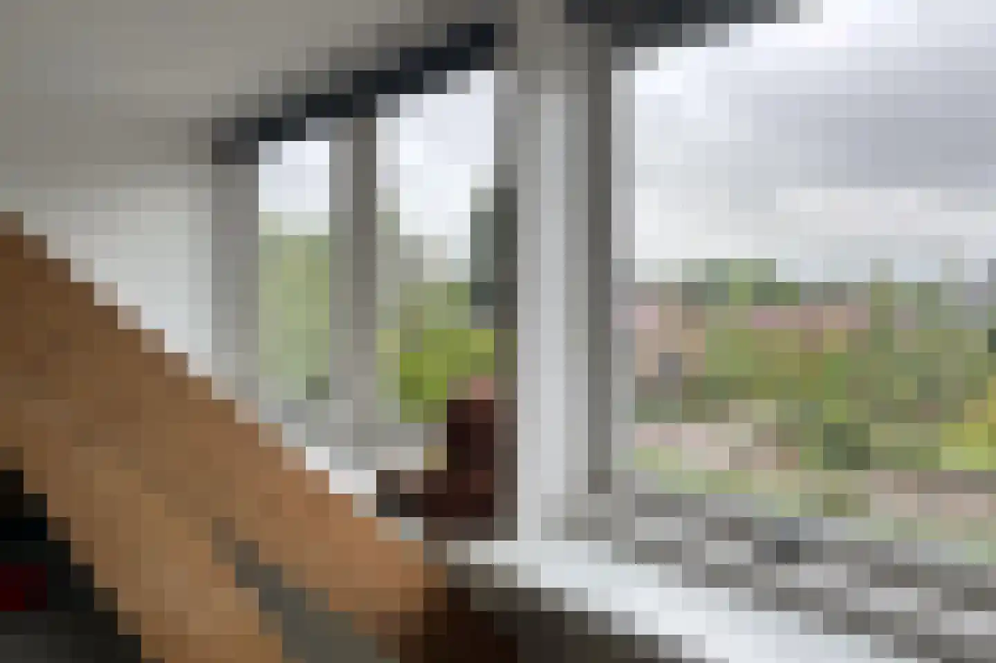 Zandweg 172 Wijk bij Duurstede thumbnail 35