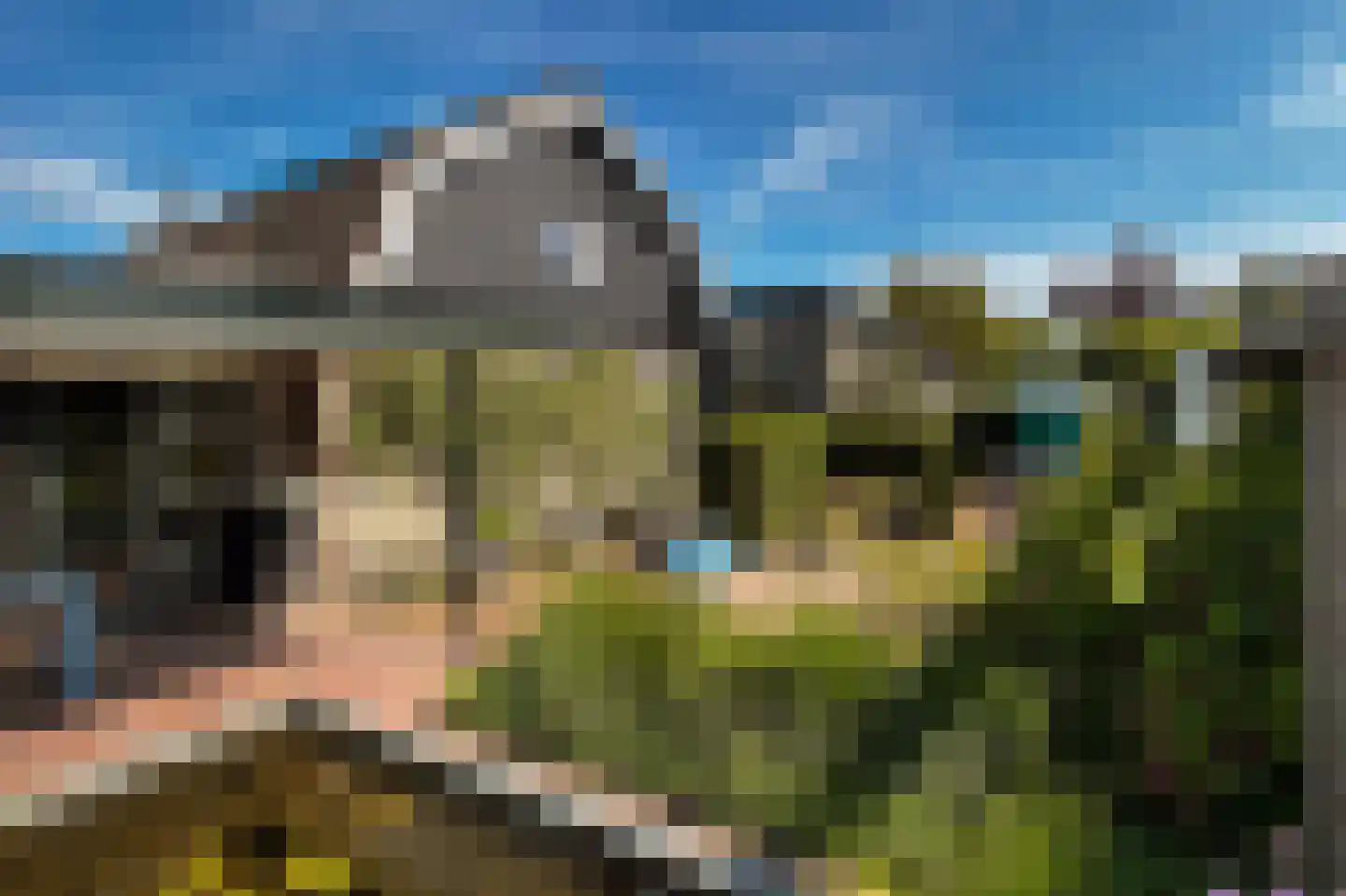 Zandweg 172 Wijk bij Duurstede thumbnail 43