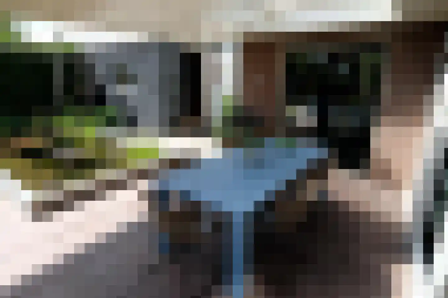 Zandweg 172 Wijk bij Duurstede thumbnail 46