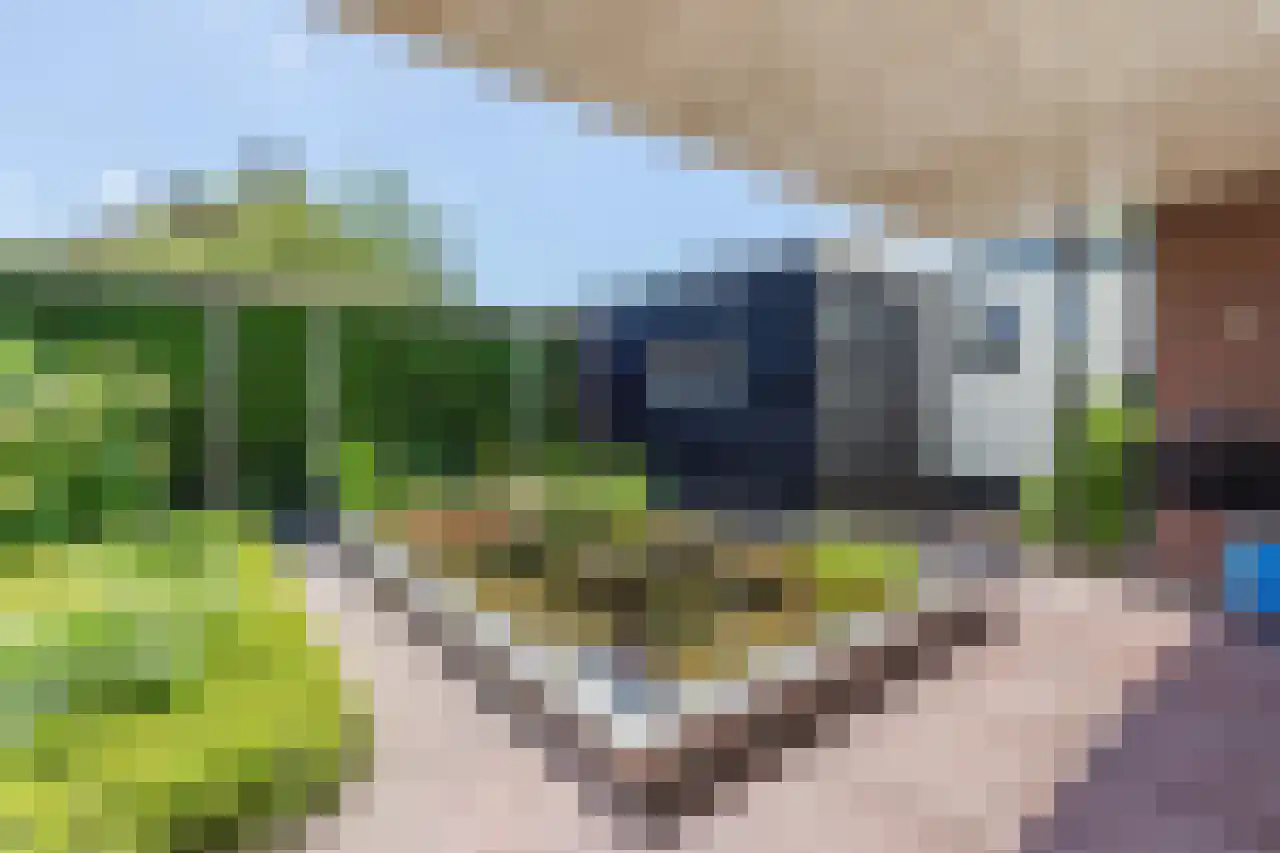 Zandweg 172 Wijk bij Duurstede thumbnail 47