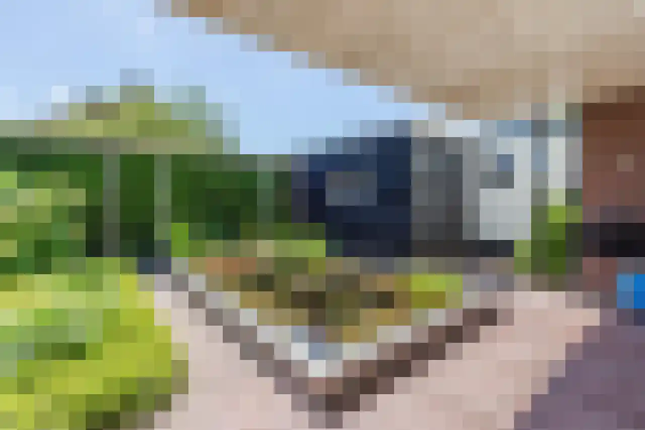Zandweg 172 Wijk bij Duurstede thumbnail 48