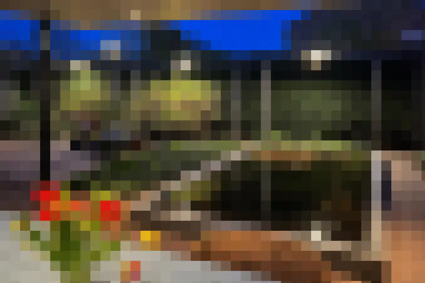 Zandweg 172 Wijk bij Duurstede thumbnail 52