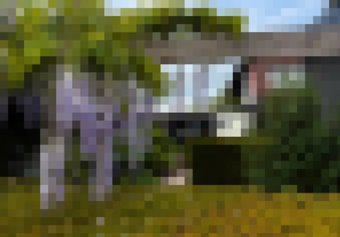 Zandweg 172 Wijk bij Duurstede thumbnail 53