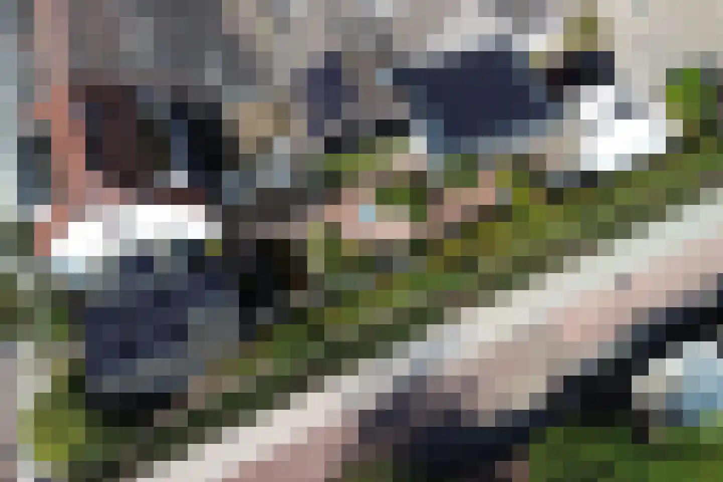 Zandweg 172 Wijk bij Duurstede thumbnail 62