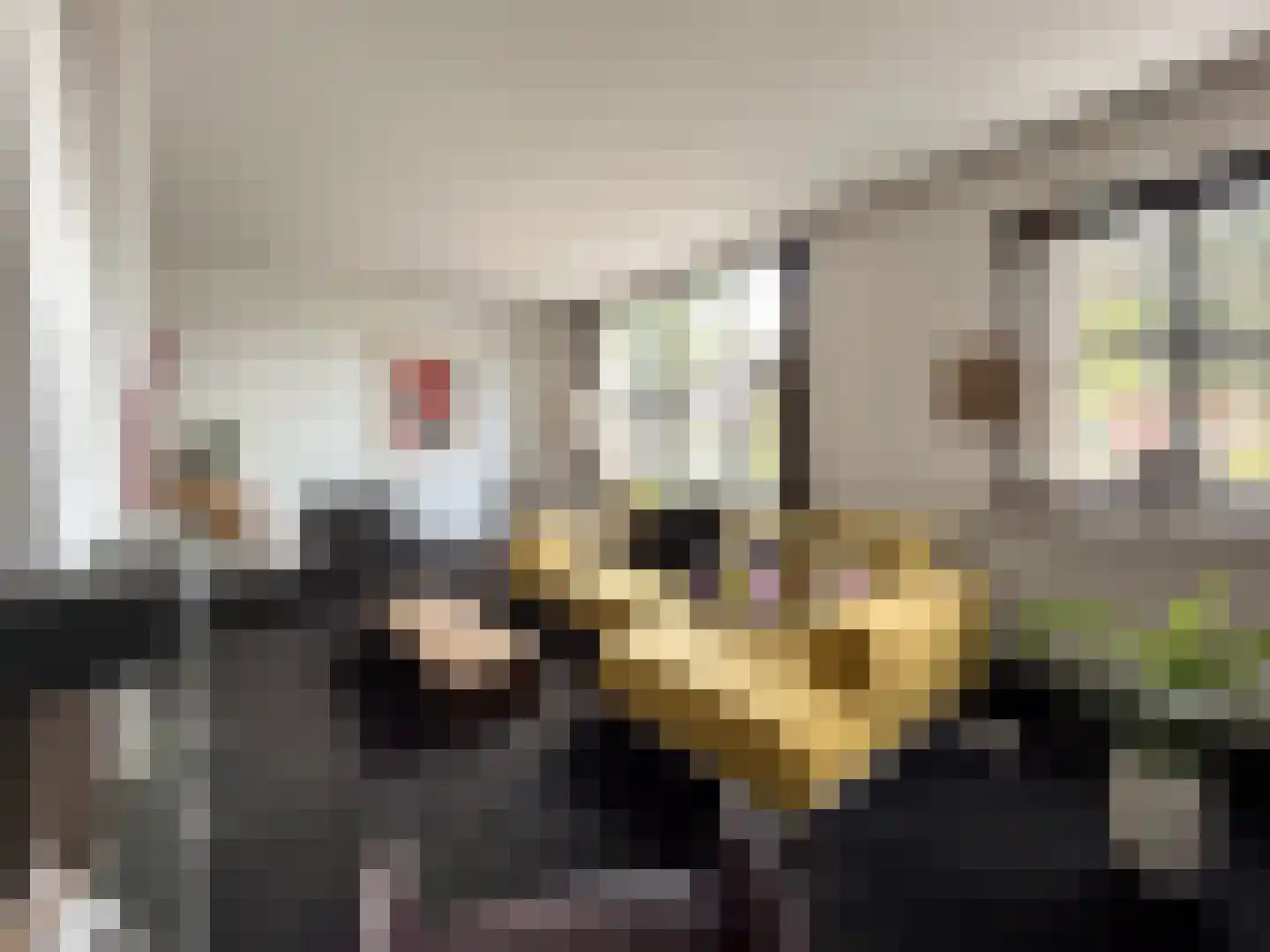Zandweg 172 Wijk bij Duurstede thumbnail 8