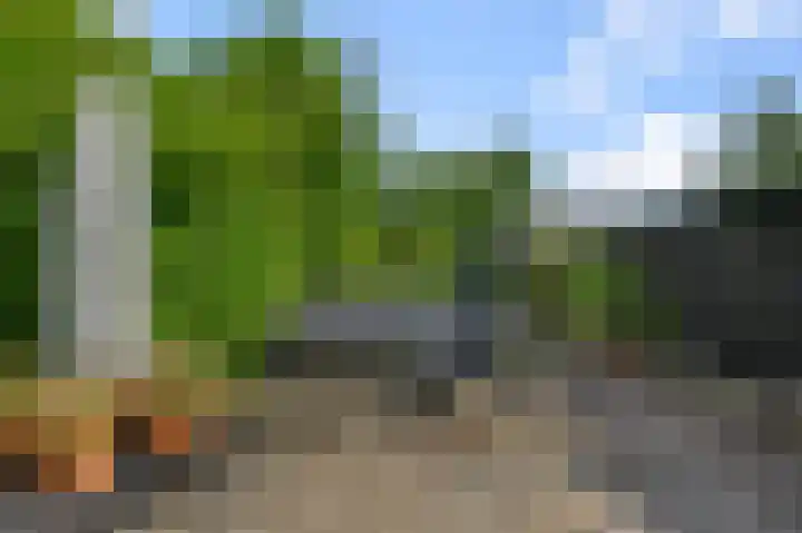 Zandweg 192 Wormer thumbnail 11