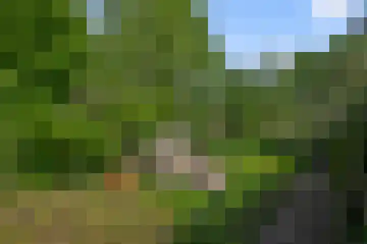 Zandweg 192 Wormer thumbnail 12