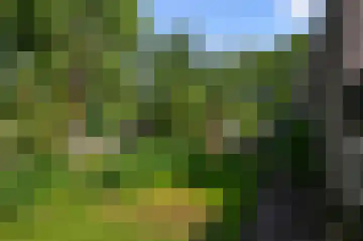Zandweg 192 Wormer thumbnail 13