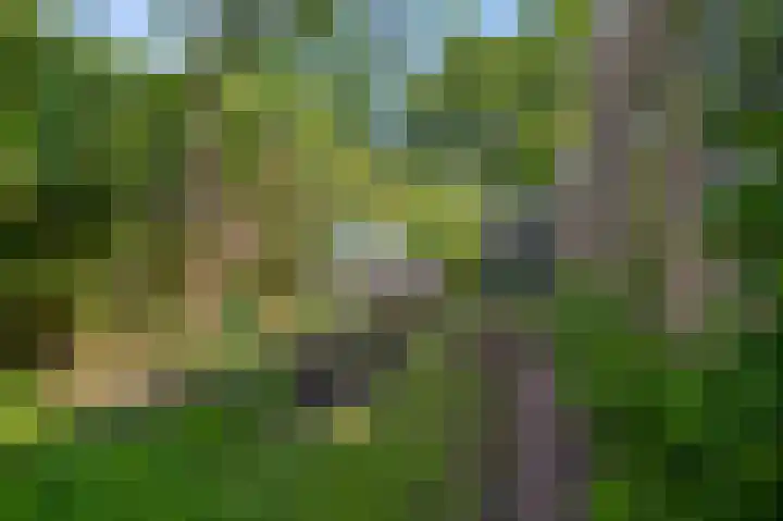 Zandweg 192 Wormer thumbnail 14