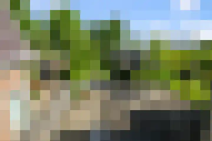 Zandweg 192 Wormer thumbnail 27