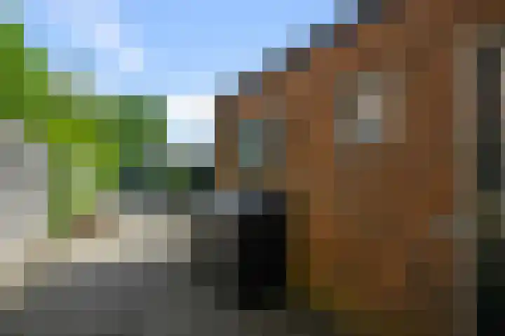 Zandweg 192 Wormer thumbnail 9