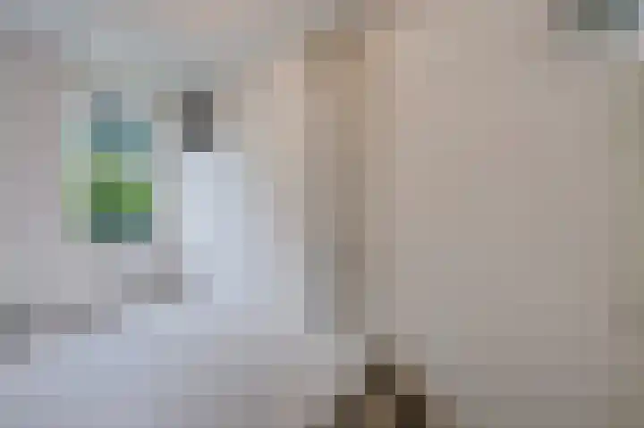 Zandweg 193 De Meern thumbnail 23