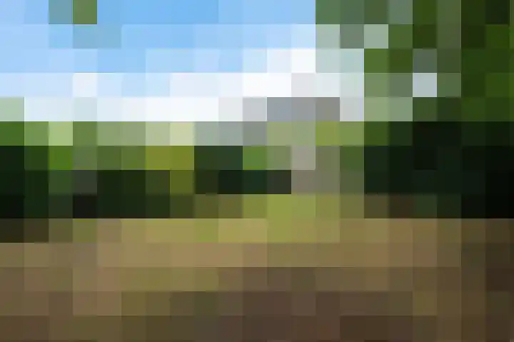Zandweg 193 De Meern thumbnail 43