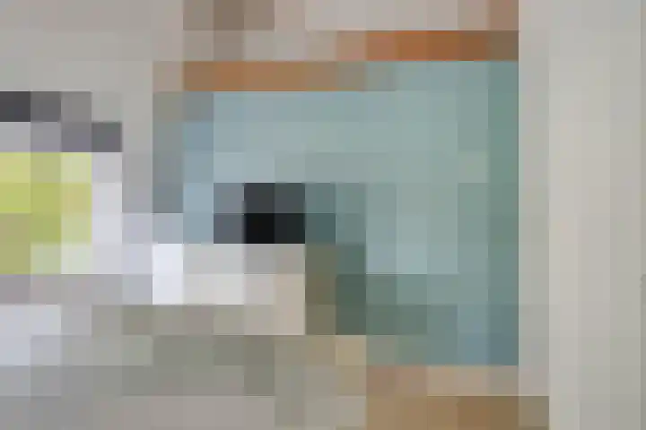 Zandweg 195 De Meern thumbnail 20