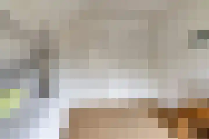 Zandweg 195 De Meern thumbnail 23