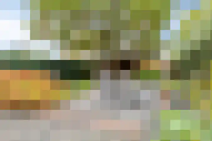 Zandweg 195 De Meern thumbnail 32