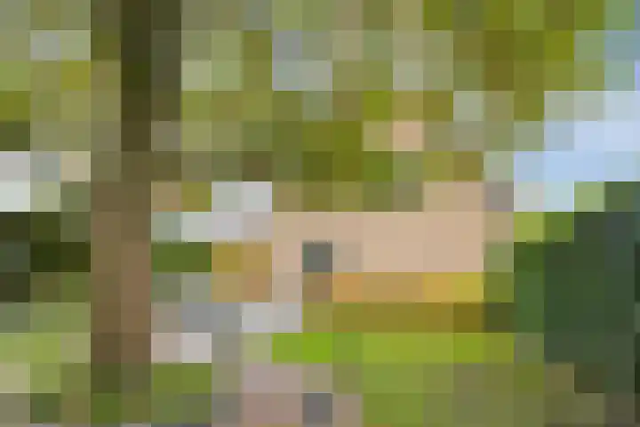 Zandweg 195 De Meern thumbnail 35