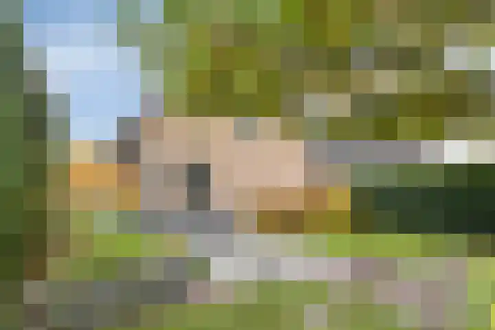 Zandweg 195 De Meern thumbnail 36