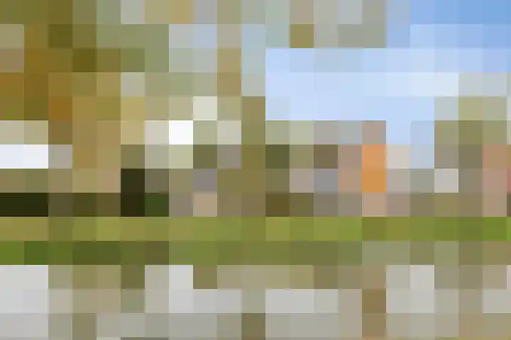 Zandweg 195 De Meern thumbnail 41