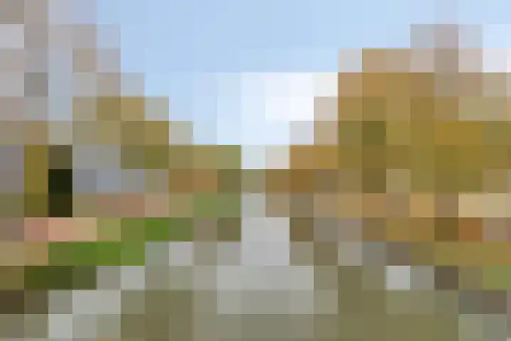 Zandweg 195 De Meern thumbnail 42