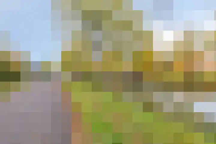Zandweg 195 De Meern thumbnail 43