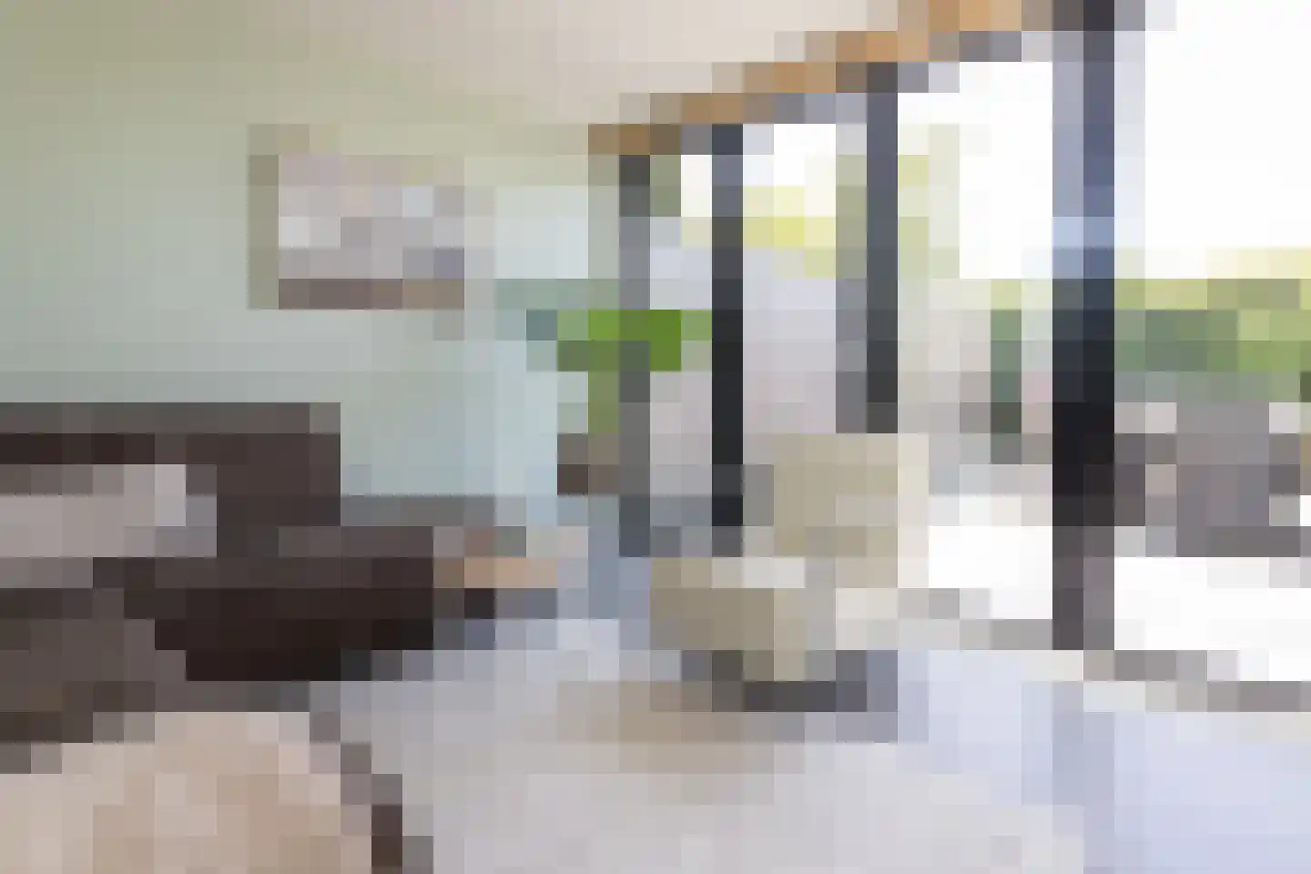Zandweg 20 34 Egmond aan den Hoef thumbnail 24