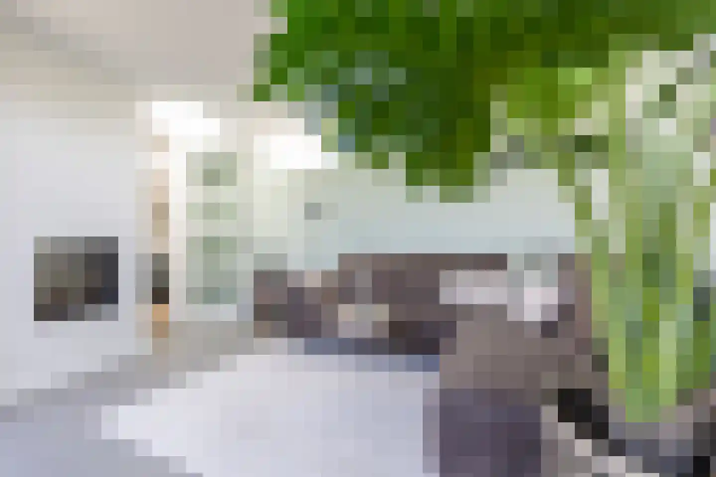 Zandweg 20 34 Egmond aan den Hoef thumbnail 26