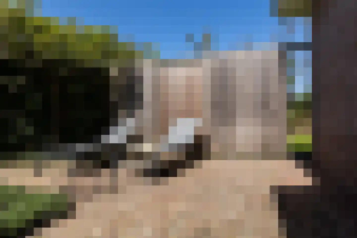 Zandweg 20 34 Egmond aan den Hoef thumbnail 48