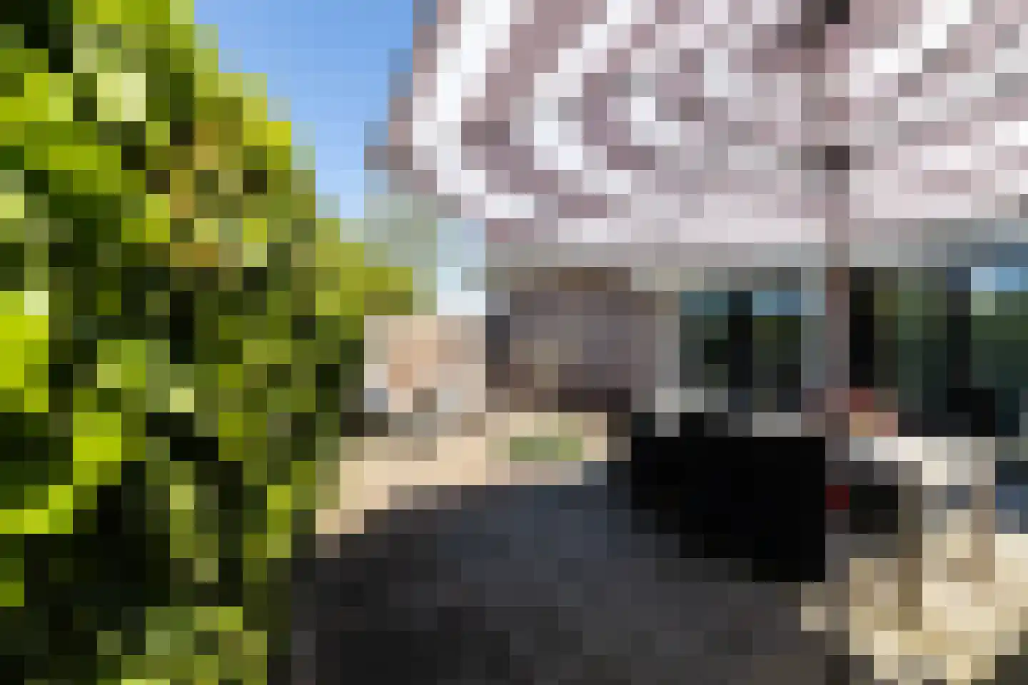 Zandweg 20 34 Egmond aan den Hoef thumbnail 49