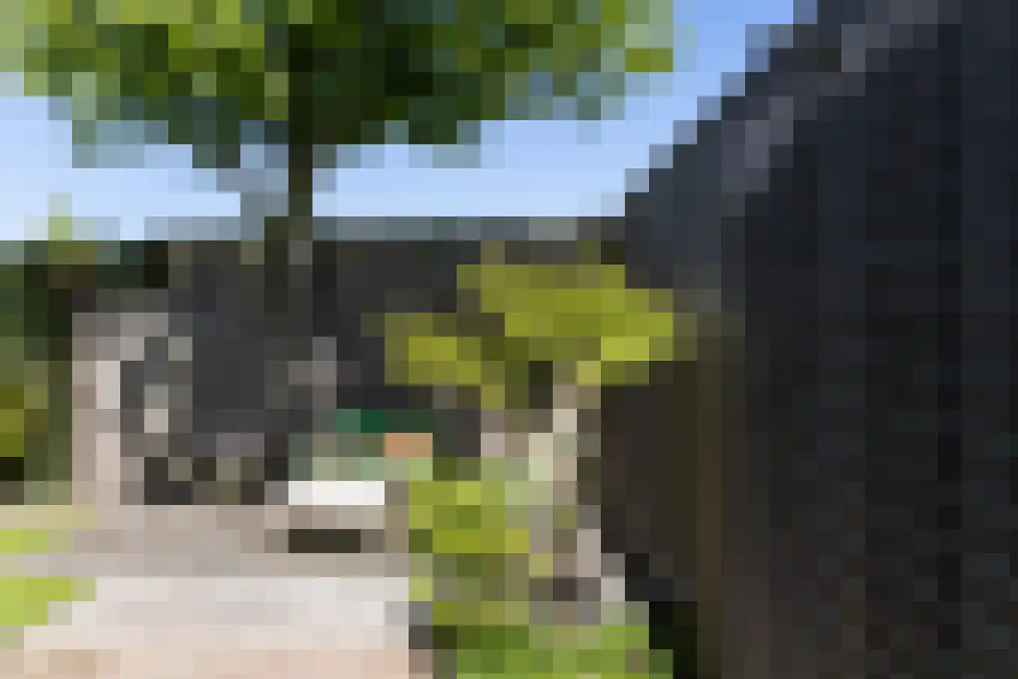 Zandweg 20 34 Egmond aan den Hoef thumbnail 52