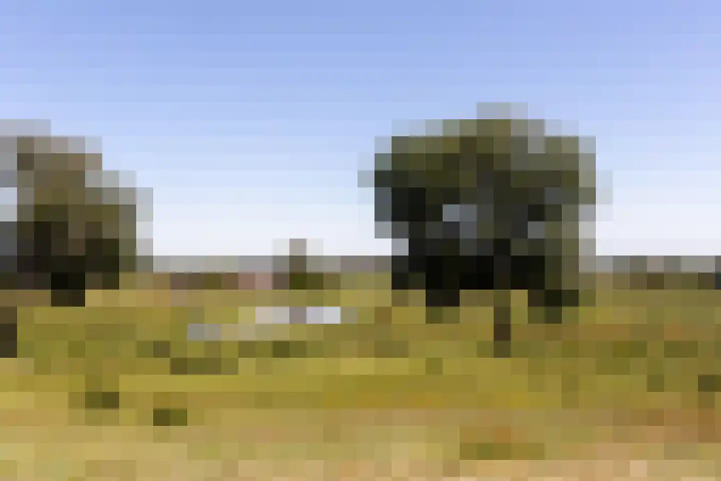 Zandweg 20 34 Egmond aan den Hoef thumbnail 66