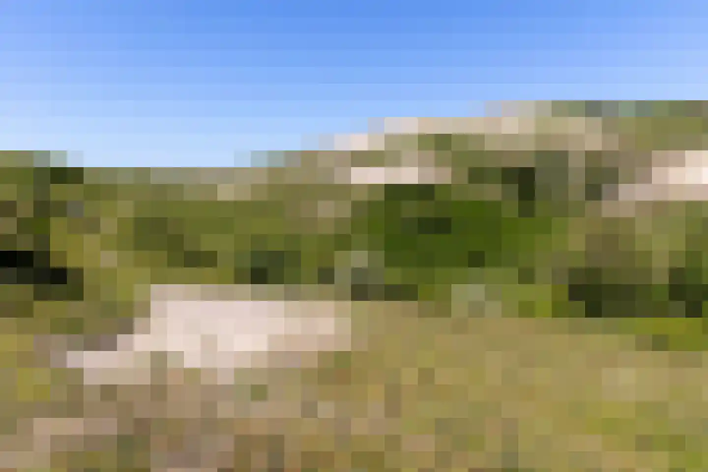 Zandweg 20 34 Egmond aan den Hoef thumbnail 67