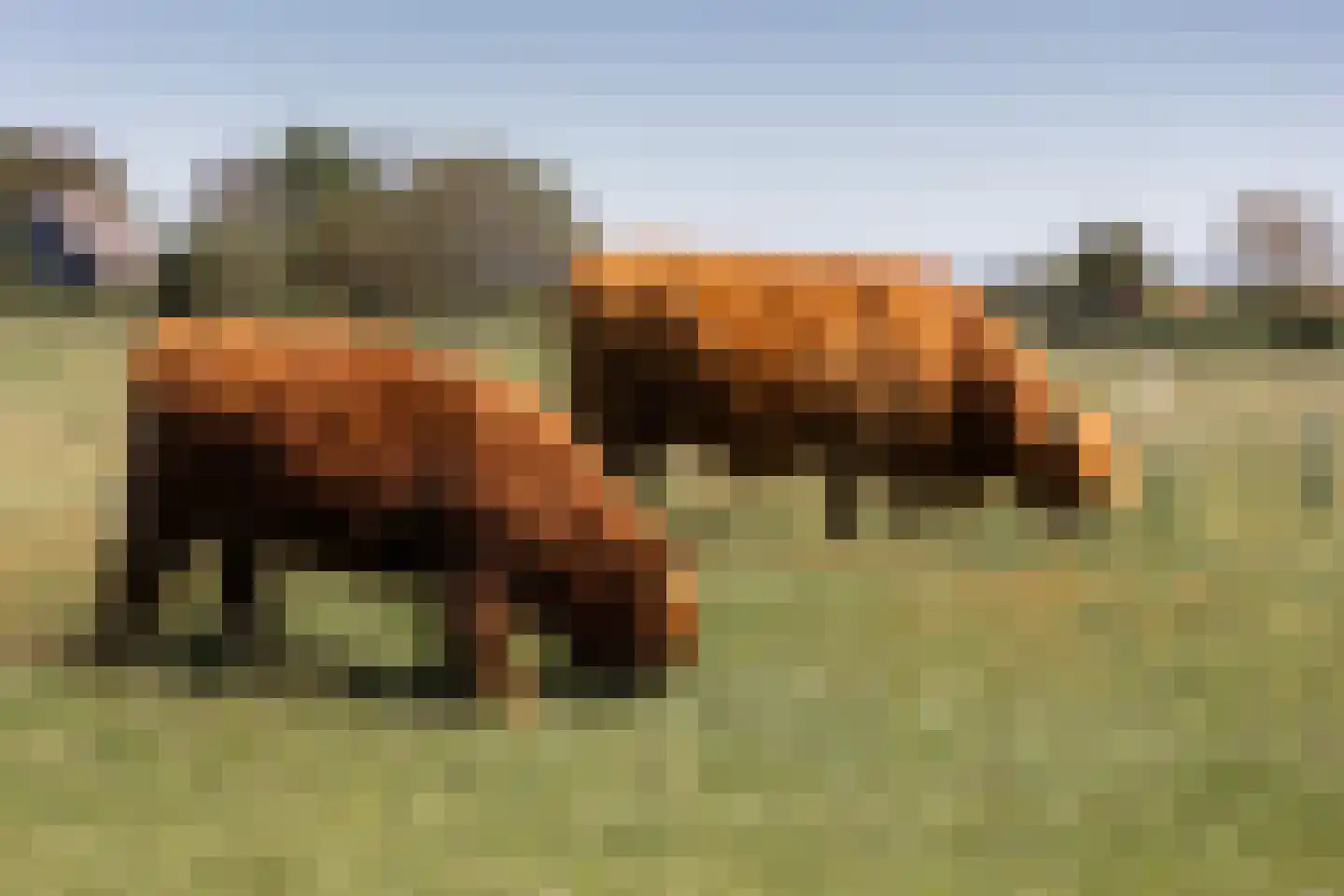 Zandweg 20 34 Egmond aan den Hoef thumbnail 68