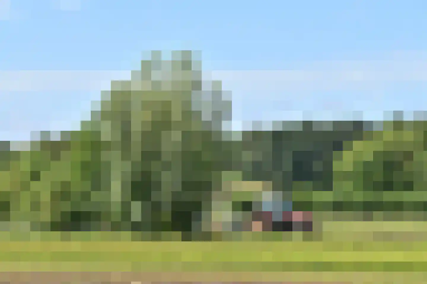Zandweg 20 41 Egmond aan den Hoef thumbnail 18
