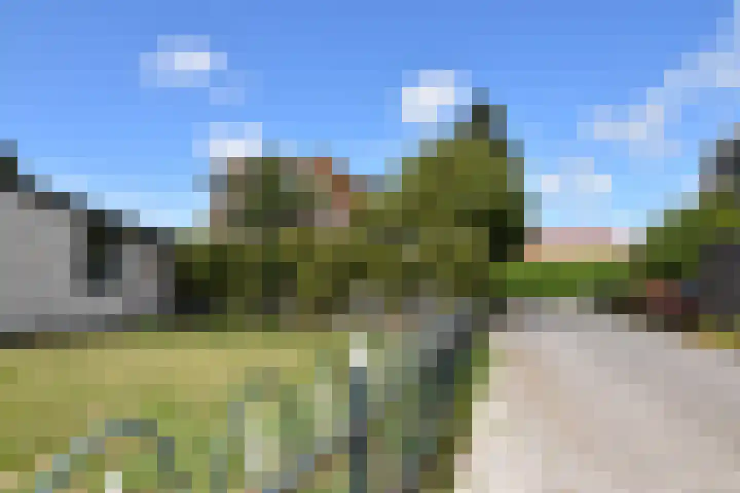Zandweg 20 41 Egmond aan den Hoef thumbnail 4