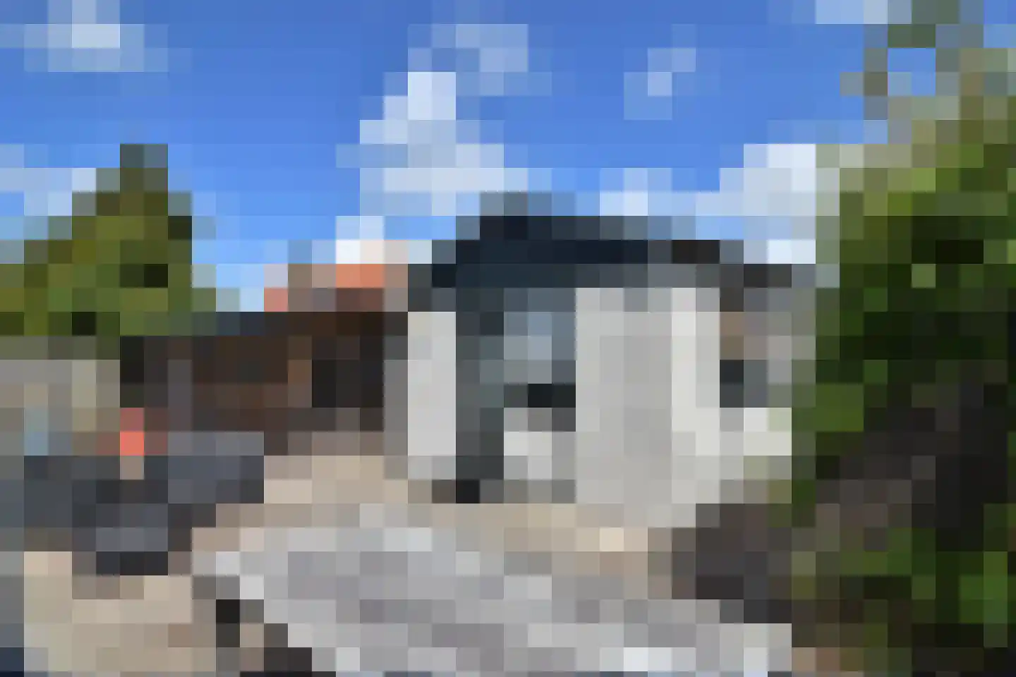 Zandweg 20 41 Egmond aan den Hoef thumbnail 6