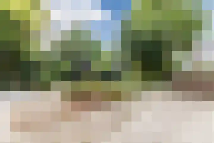 Zandweg 20 5 Egmond aan den Hoef thumbnail 20