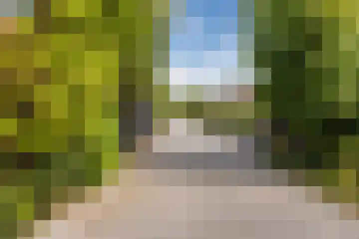 Zandweg 20 5 Egmond aan den Hoef thumbnail 24