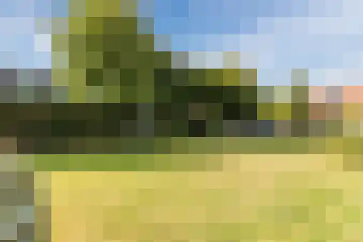 Zandweg 20 5 Egmond aan den Hoef thumbnail 26