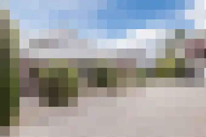 Zandweg 20 5 Egmond aan den Hoef thumbnail 27