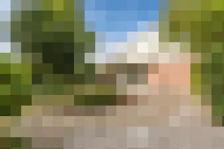 Zandweg 20 5 Egmond aan den Hoef thumbnail 4