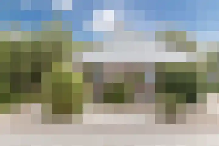 Zandweg 20 5 Egmond aan den Hoef thumbnail 5