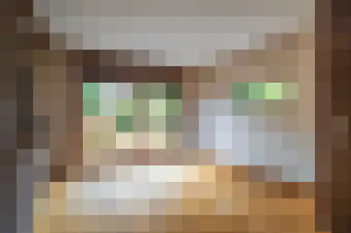 Zandweg 20 Renkum thumbnail 12