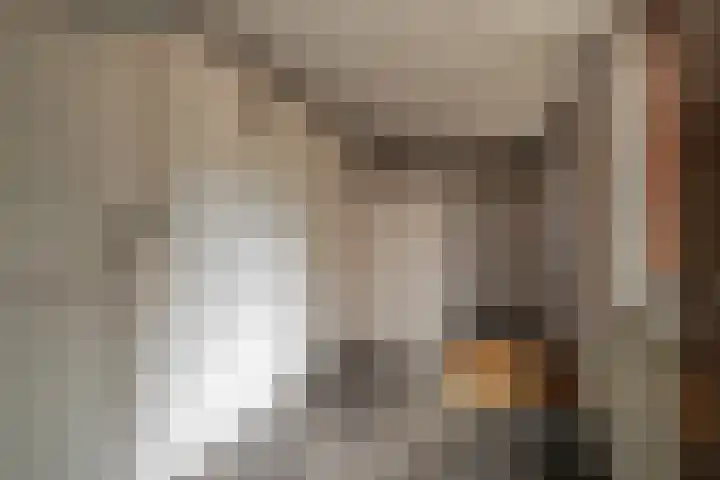 Zandweg 20 Renkum thumbnail 16